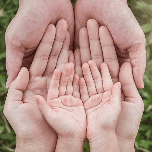 family hands